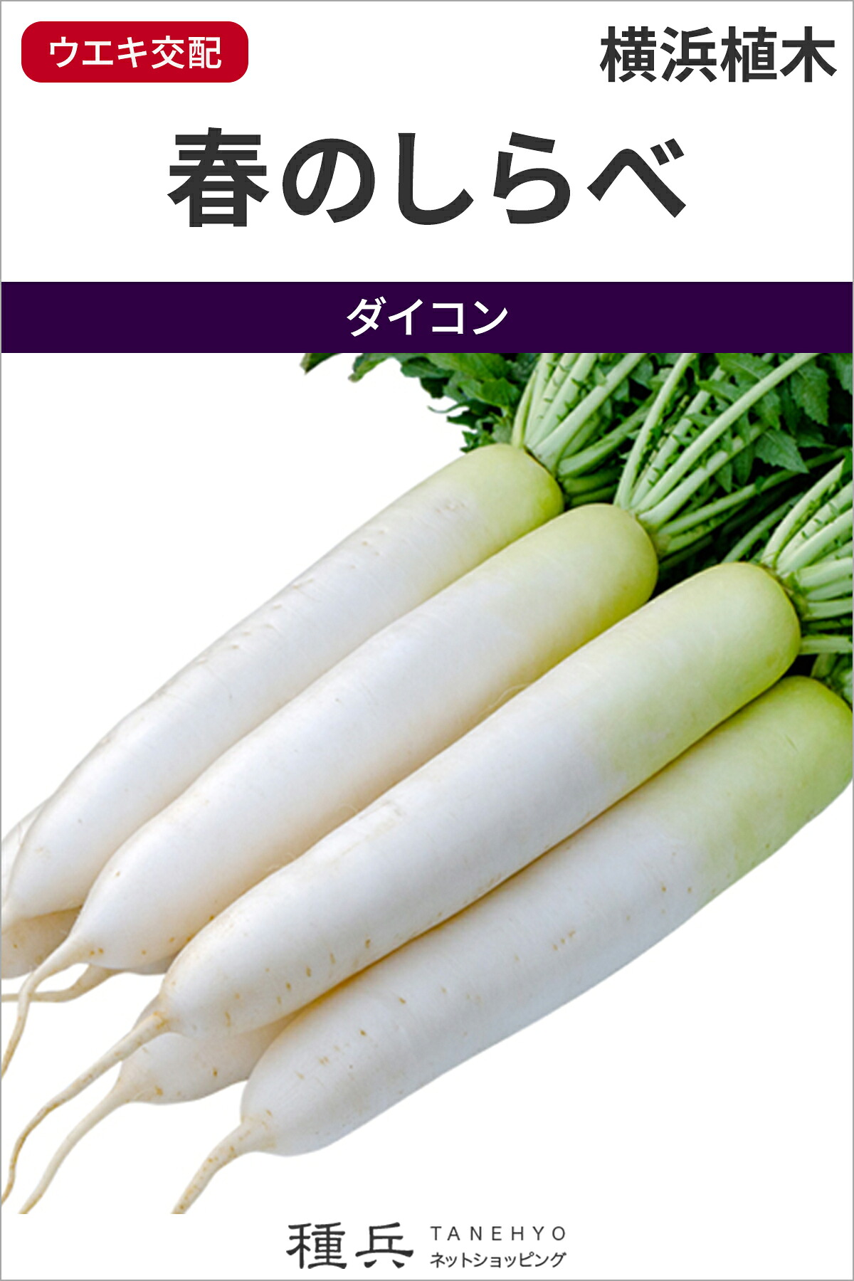 ダイコン 種 『春のしらべ』 横浜植木