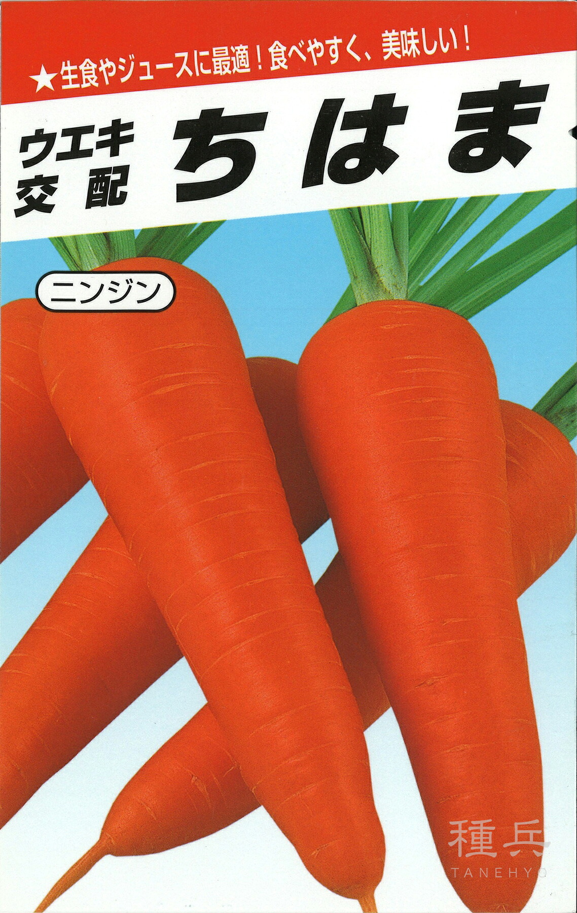 ニンジン 種 『ちはま五寸』 横浜植木
