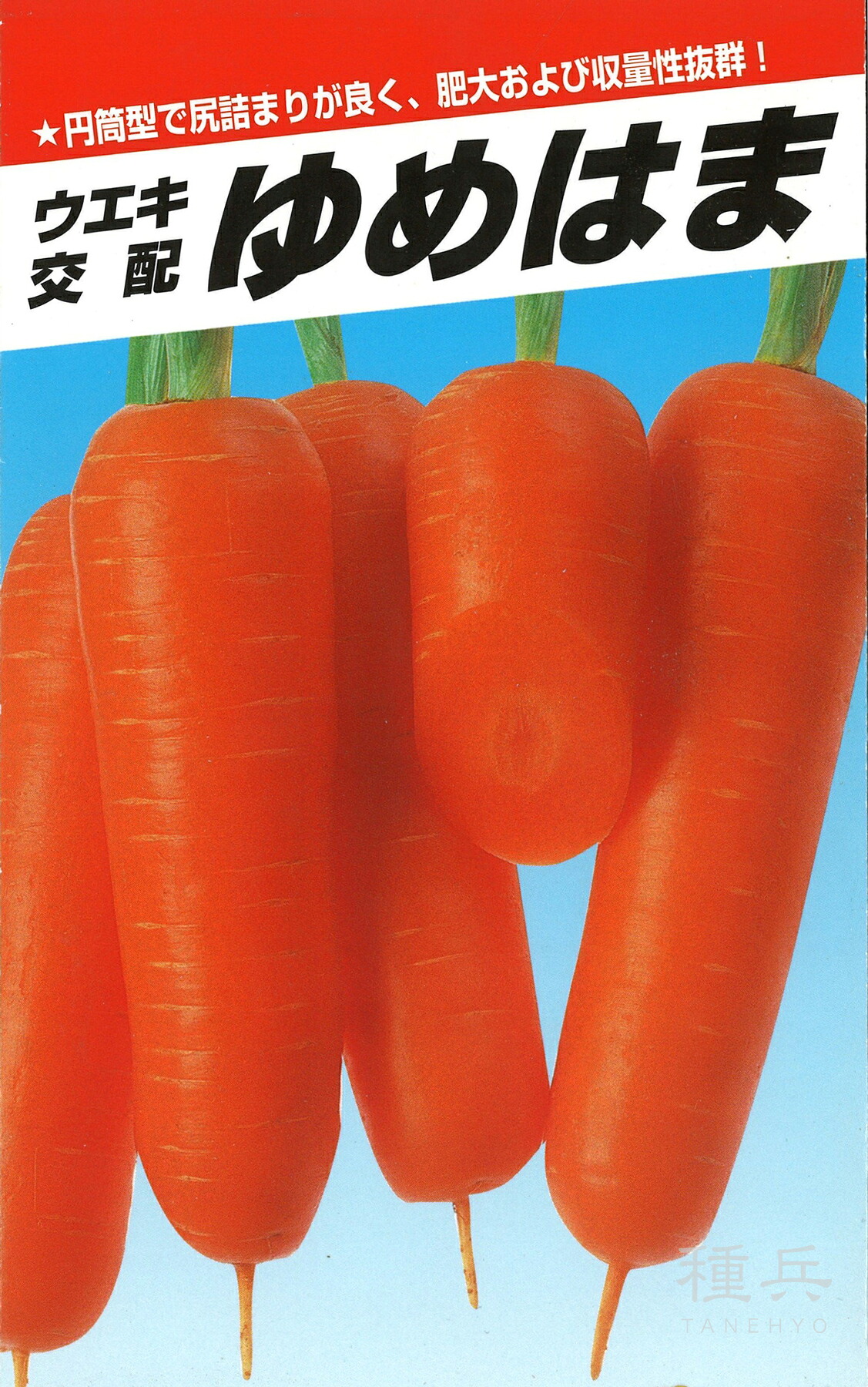 ニンジン 種 『ゆめはま五寸』 横浜植木 6,864円