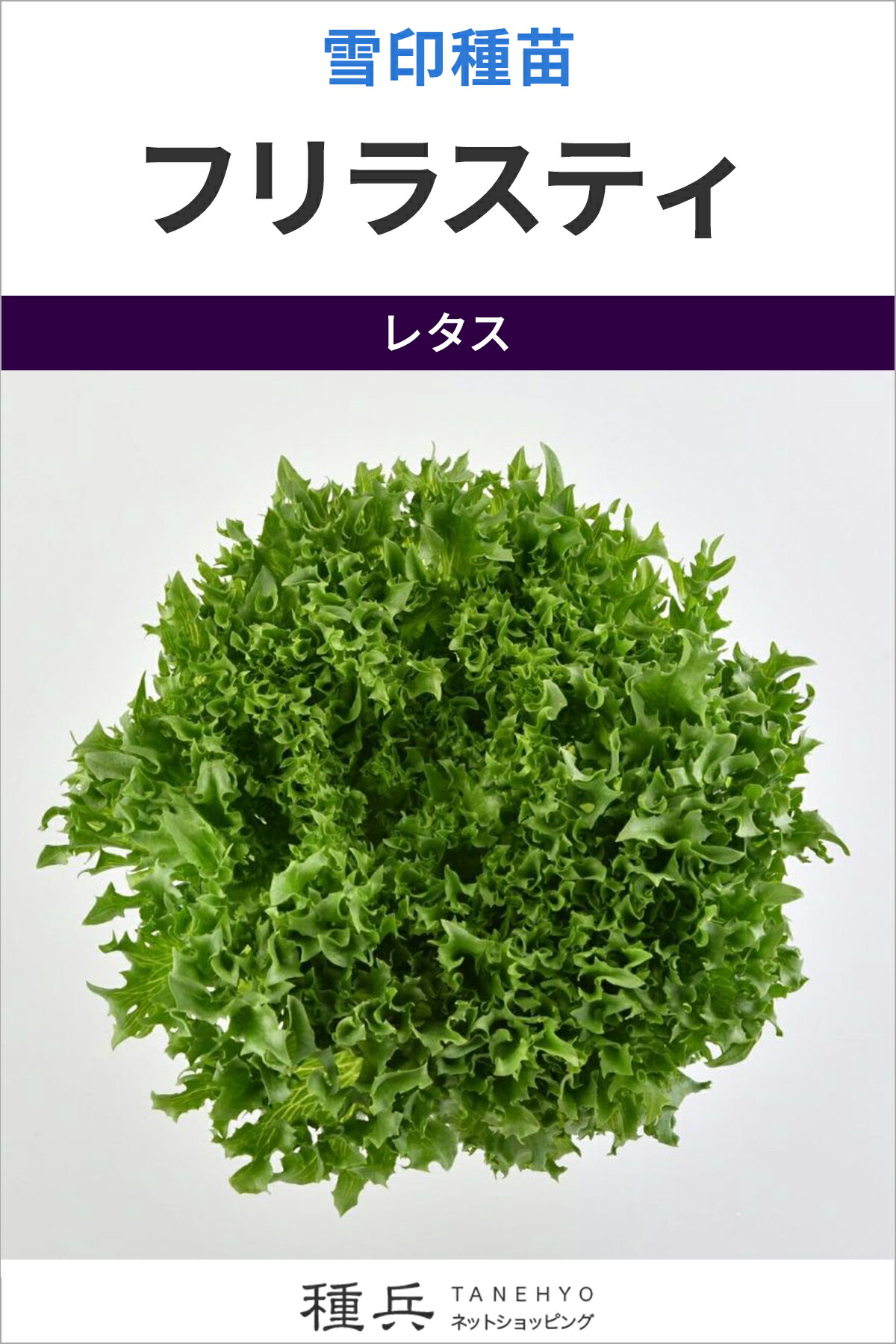 岩礁萵苣 種 『フリラスティ』  雪印種苗