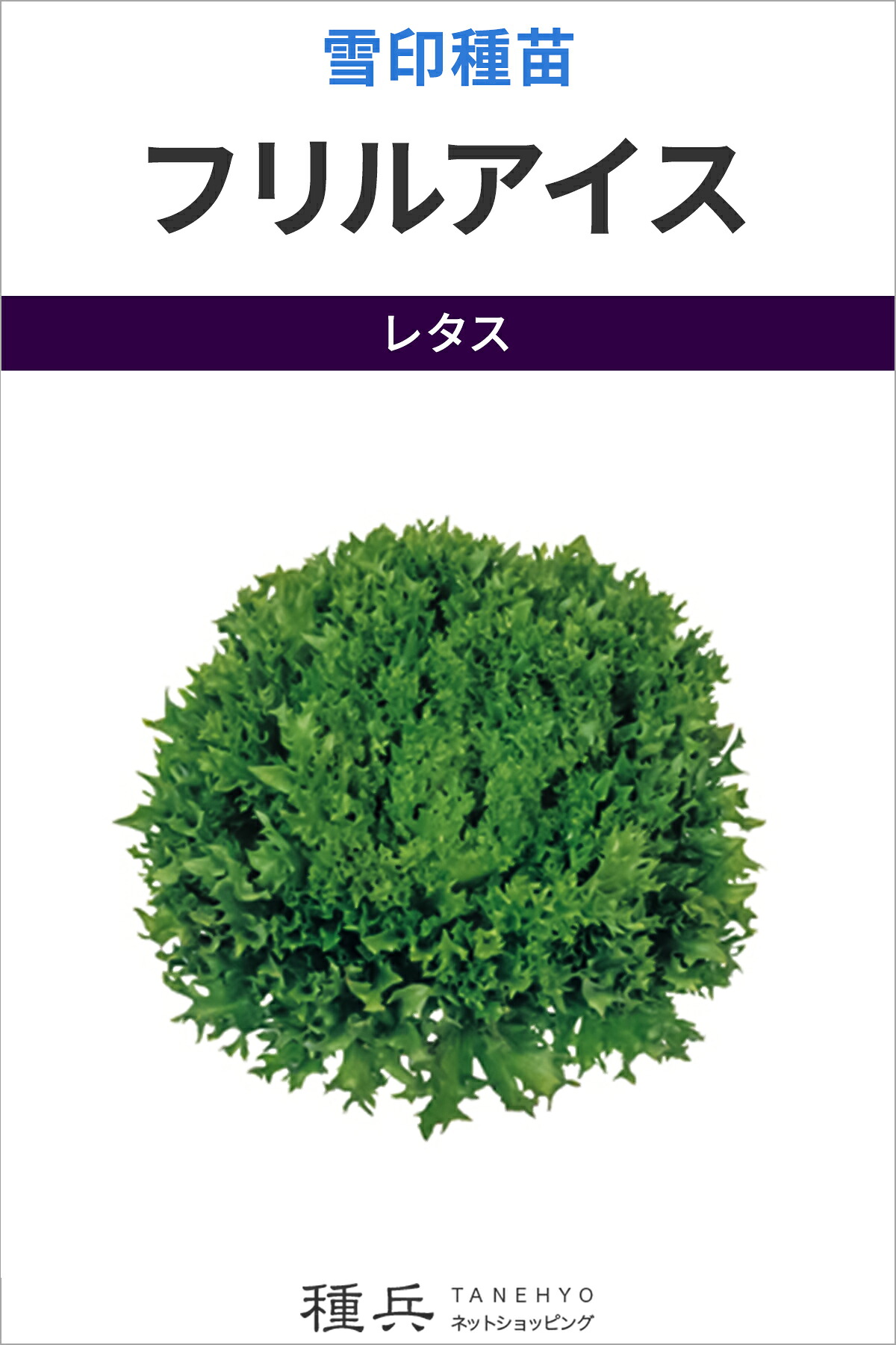 岩礁萵苣 種 『フラウンス内燃機関』  雪印種苗