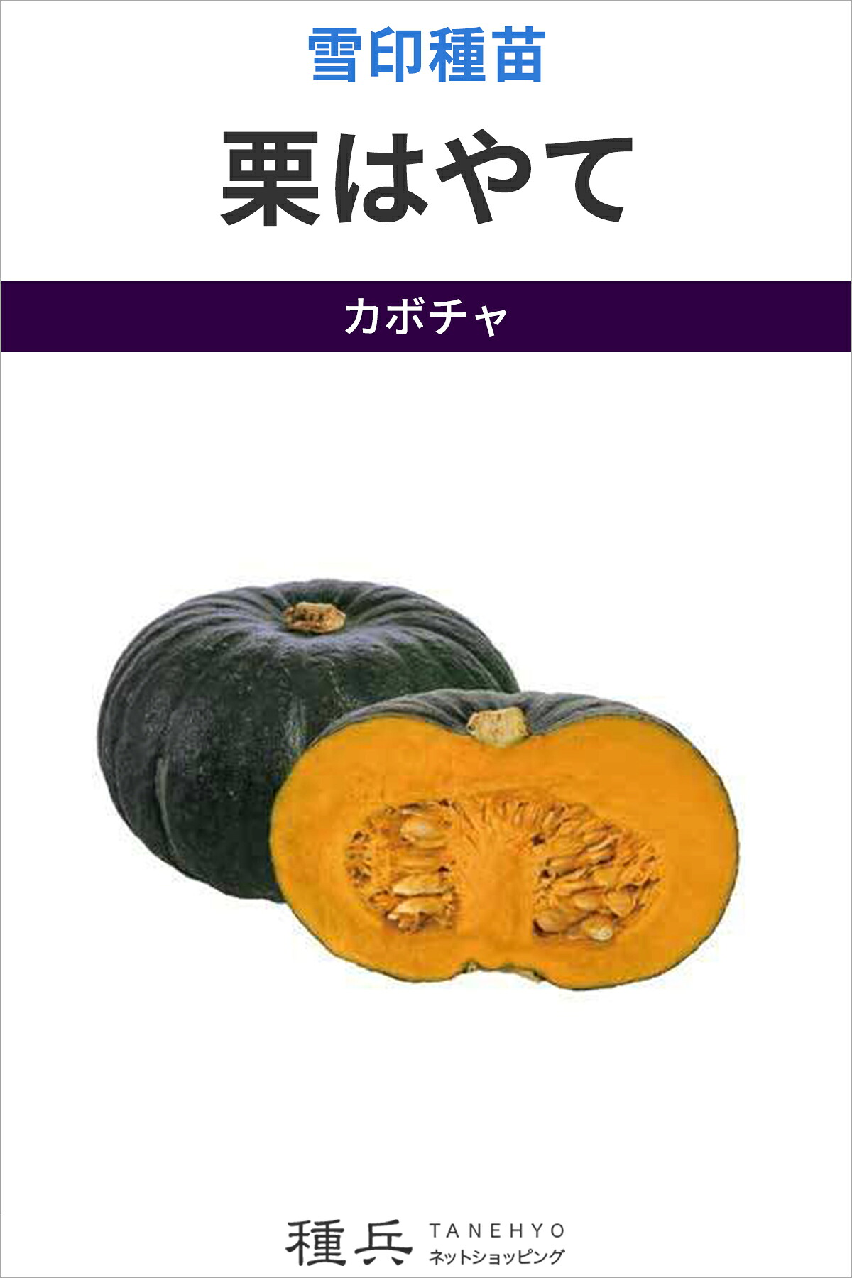 栗西洋カボチャ 種 『栗はやて』  雪印種苗