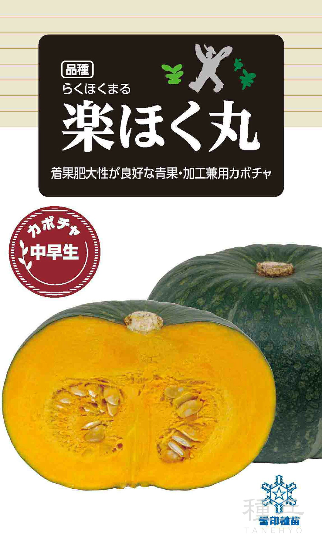 栗西洋カボチャ 種 『楽ほく丸』  雪印種苗