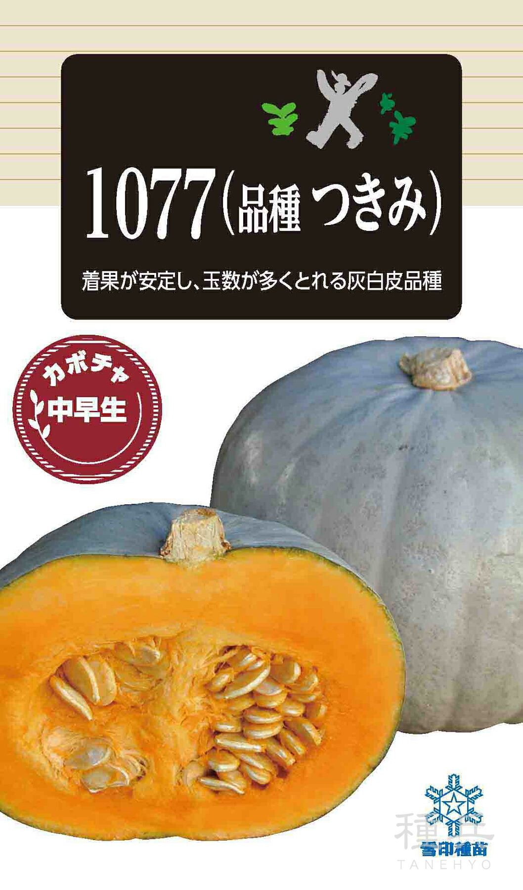 灰白皮西洋カボチャ 種 『1077（亜種つきみ）』  雪印種苗