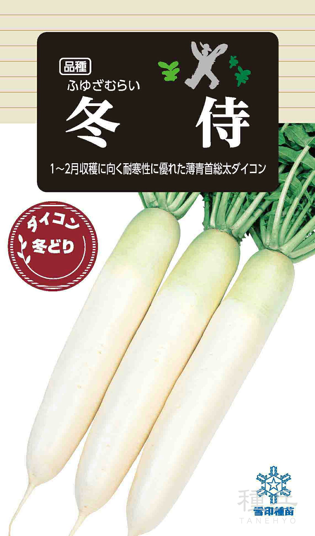 清白 種 『冬侍』  雪印種苗