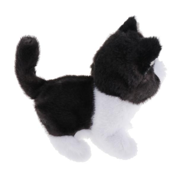 楽天市場】【anifull 公式】 保定のできる猫型採血