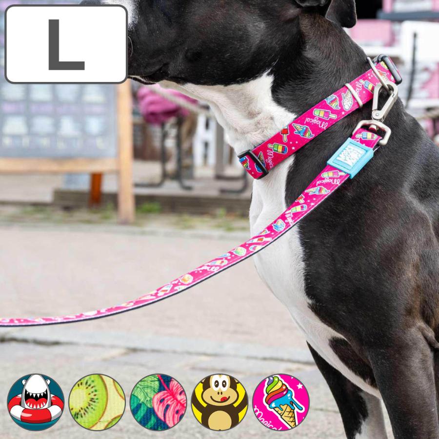 リード 犬 L マックス＆モーリー 大型犬 1.2m （ 犬用 犬用リード 散歩 ペット用 いぬ ドッグ 軽量 おしゃれ かわいい ）｜たねまるクローズショップ