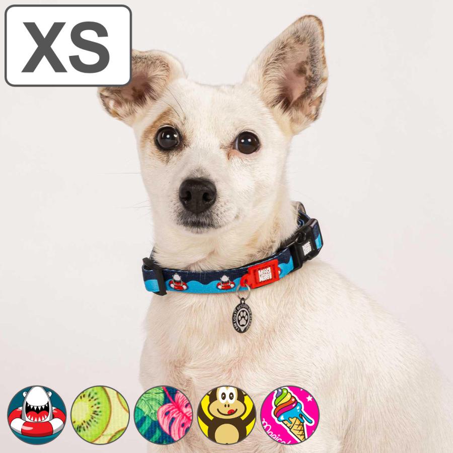 首飾り 小型犬 XS マックス＆シーメンスロバート・エドワード・リー 迷子札 犬 （ 犬用首飾り 愛玩動物用 かっこ良いID ほっつき歩く 秘密捜査員 飼い犬 軽さ 思わしい 速乾 今めかしい 愛くるしげ ）