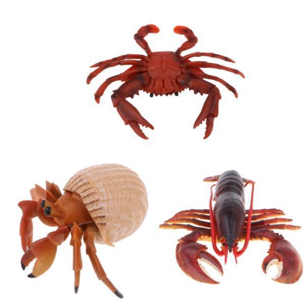 シミュレーション動物モデルフィギュアおもちゃ置物家の装飾ヤドカリ+シミュレーション動物モデルフィギュアおもちゃ置物家の装飾赤いカニ+プラスチ|たねまるクローズショップ