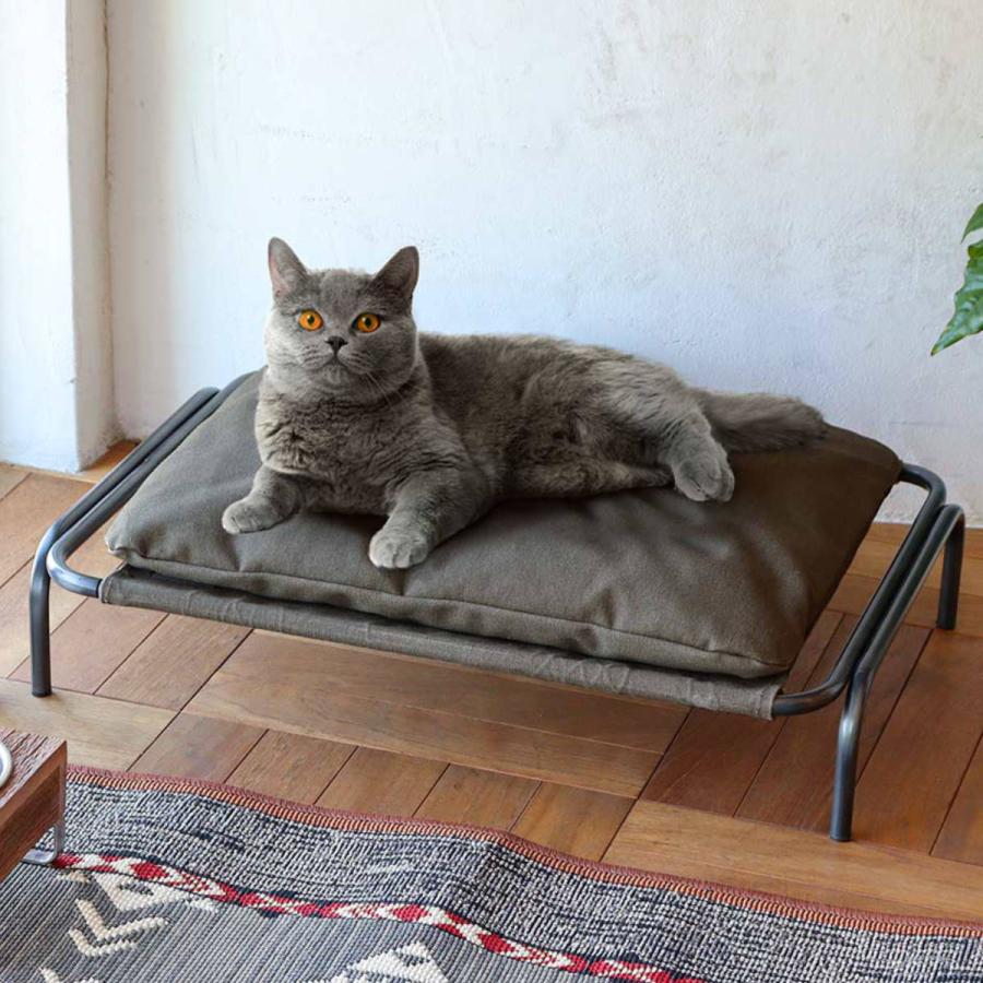 洗える猫用ハンモック 小型犬に最適 (ペットベッド 猫用ベッド 男女兼用 おしゃれ アイアン クッション付き)|たねまるクローズショップ