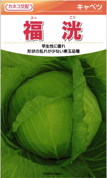 カネコ種苗 玉菜 福洸 厚地の外套5000粒