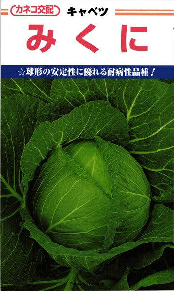 カネコ種苗 玉菜 みくに 厚地の外套5000粒