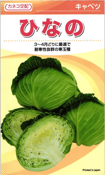 カネコ種苗 玉菜 ひなの 厚地の外套5000粒