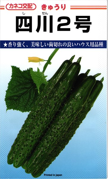 カネコ種苗 キュウリ 四川2号 350粒