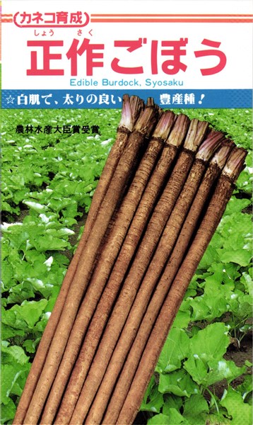 カネコ種苗 牛蒡 正作 プライミング 1L