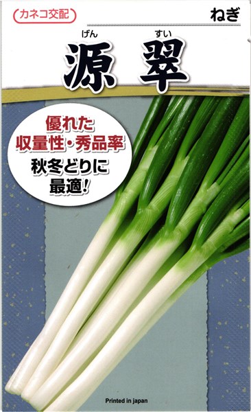 楽天市場】カネコ種苗 ネギ 一翠太 コート6000粒 : 種苗・園芸ショップ