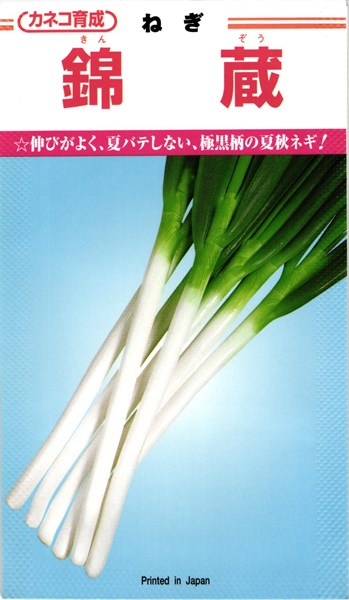 カネコ種苗 ネギ 錦蔵 2dl