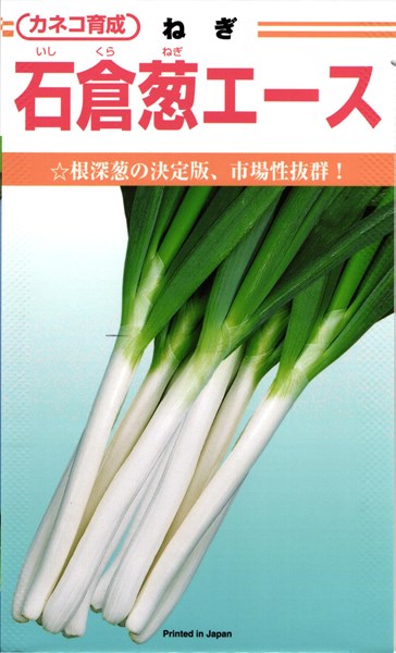 カネコ種苗 ネギ 石倉葱エース 1L|種苗・園芸ショップ 種もり