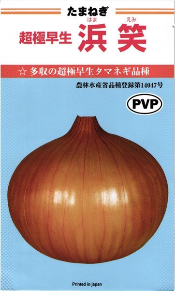 楽天市場】カネコ種苗 タマネギ 玉ねぎ 浜笑 20ml PVP : 種苗・園芸