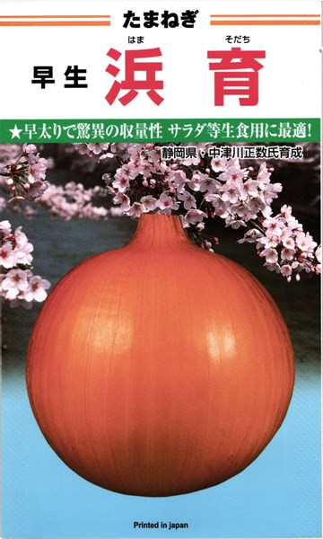 カネコ種苗 玉ねぎ 玉葱 浜育 2デシリットル
