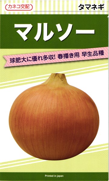 カネコ種苗 玉ねぎ 玉葱 マルソー 2デシリットル PVP