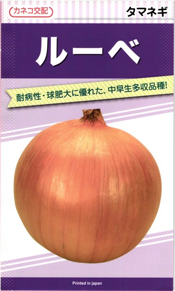 カネコ種苗 タマネギ 玉ねぎ ルーベ 2dl