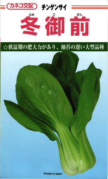 カネコ種苗 チンゲンサイ 青梗菜 冬目の前 2デシリットル 花・ガーデン・DIY-野菜の種子-種子