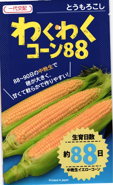 カネコ種苗 唐きび 唐きび わくわく唐きび88  2000粒