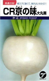 たね タカヤマシード 小僧 CR京の味（大丸蕪）1デシリットル