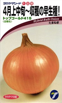 たね タカヤマシード タマネギ 玉葱 トップゴールド415 2dl｜種苗・園芸ショップ 種もり