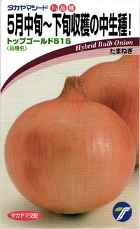 たまねぎ　5個 たまねぎ 5個 Amazon.co.jp: Special Cultivation New Onion