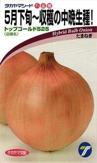 たね タカヤマシード 玉ねぎ 玉ねぎ とっ始めゴールド525 2デシリットル