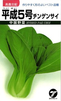 たね タカヤマシード チンゲンサイ 青梗菜 平成５号 2dl｜種苗・園芸ショップ 種もり
