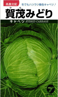 たね タカヤマシード キャベツ 賀茂みどり コートL5000粒