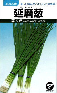 たね タカヤマシード ネギ 延暦葱 1L 種子-野菜の種子