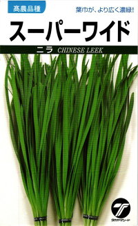 楽天市場】ニラ葱種【 スーパーワイド 】6ml （栽培用 種子 にら 韮