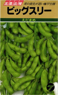 楽天市場】たね タカヤマシード エダマメ 枝豆 ビッグスリー 1L : 種苗