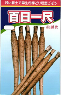 渡辺農事 ゴボウ 百日一尺 1L｜種苗・園芸ショップ 種もり