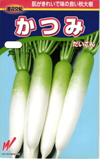 渡辺農事 ダイコン 大根 かつみ コート5000粒