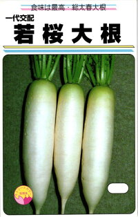 渡辺農事 清白 大根役者 若桜 2デシリットル