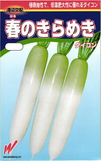 渡辺農事 ダイコン 大根 春のきらめき コート5000粒