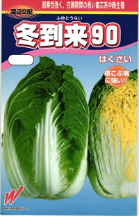 渡辺農事 ハクサイ 白菜 冬到来90 20ml 6,930円