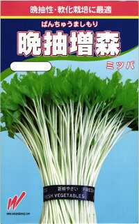 渡辺農事 ミツバ みつ葉 晩抽増森 1L