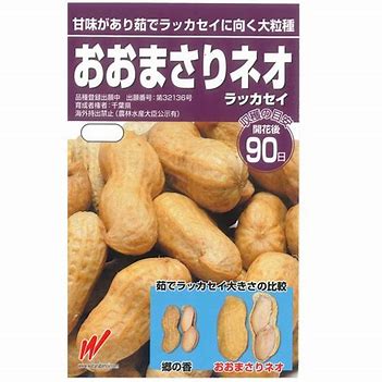 おおまさりネオ500粒 おおまさりネオ500粒 （落花生 おおまさり ネオ 60粒 ① 南京豆）