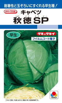 タキイ種苗 玉菜 秋徳SP  ペレット L5000粒