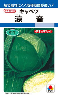 タキイ種苗 キャベツ 涼音 ペレット L5000粒｜種苗・園芸ショップ 種もり