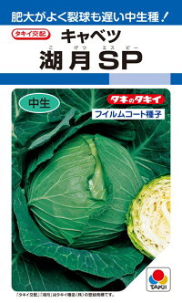 タキイ種苗 玉菜 湖月SP ペレット L5000粒