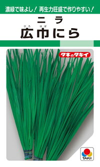 ニラ 様 楽天市場】タキイ種苗 ニラ 韮 広巾にら GF : 種苗・園芸ショップ 種もり