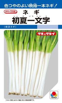 タキイ種苗 ネギ 葱 初夏一文字記号 1デシリットル