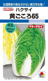 楽天市場 タキイ種苗 ハクサイ 白菜 黄ごころ65 ペレット 小袋 5000粒 種苗 園芸ショップ 種もり